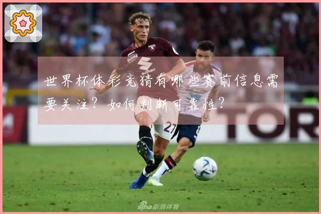 世界杯体彩竞猜有哪些赛前信息需要关注？如何判断可靠性？
