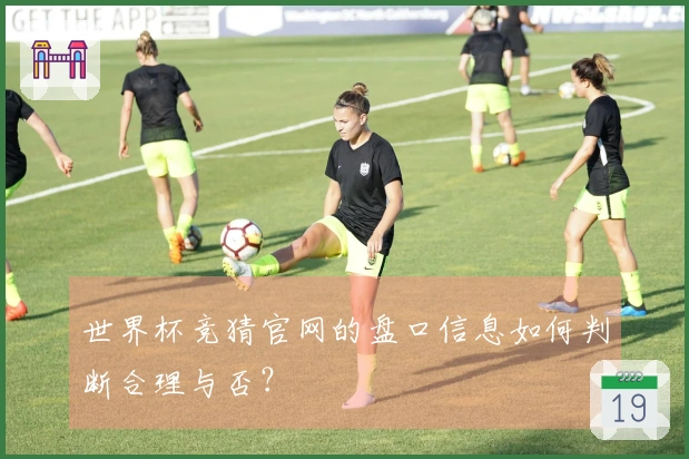 世界杯竞猜官网的盘口信息如何判断合理与否？